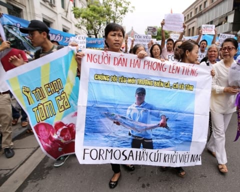 vietnamese_fish_protests